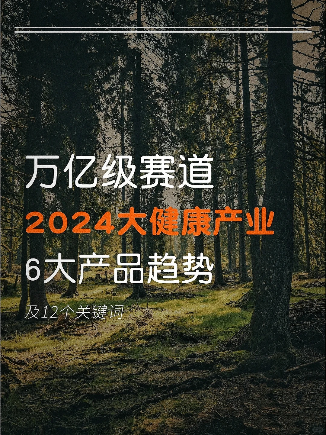 知识夏校｜2024大健康产业产品六大趋势