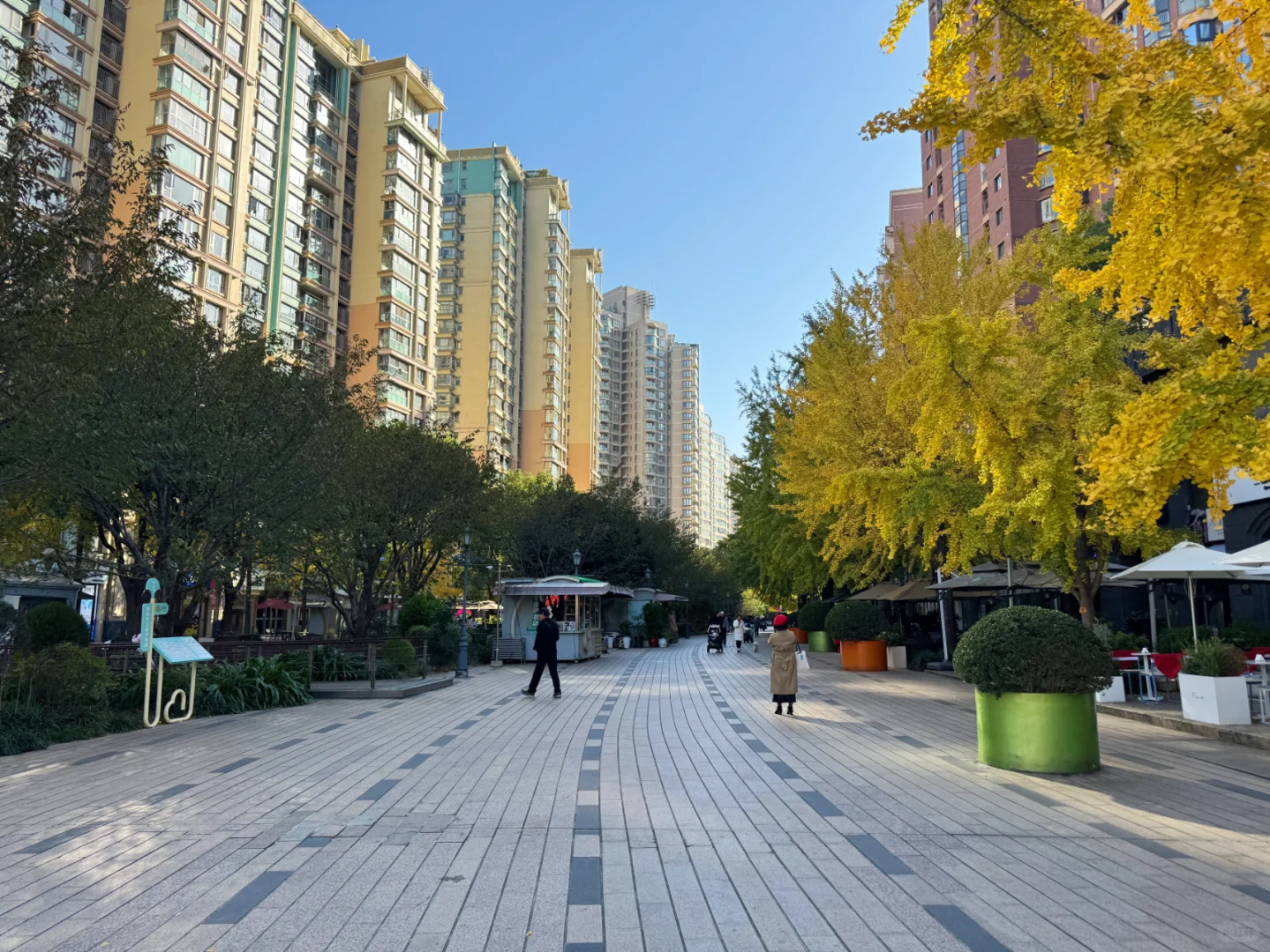 古北黄金城道：11月成交记录，请查收