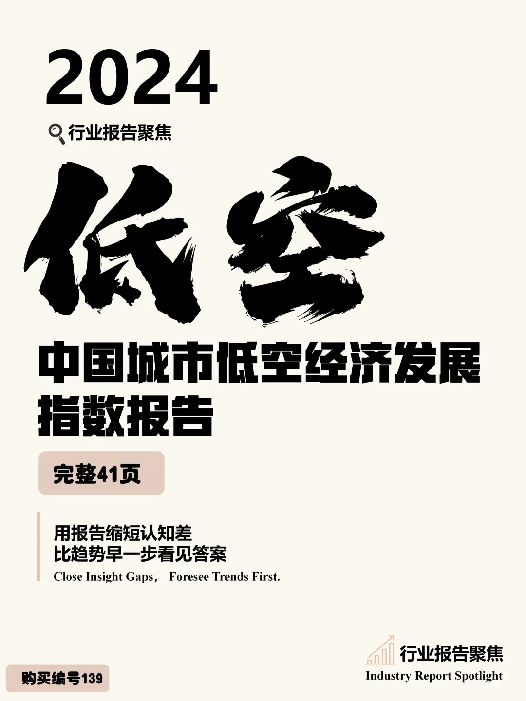 2024 中国城市低空经济发展指数报告