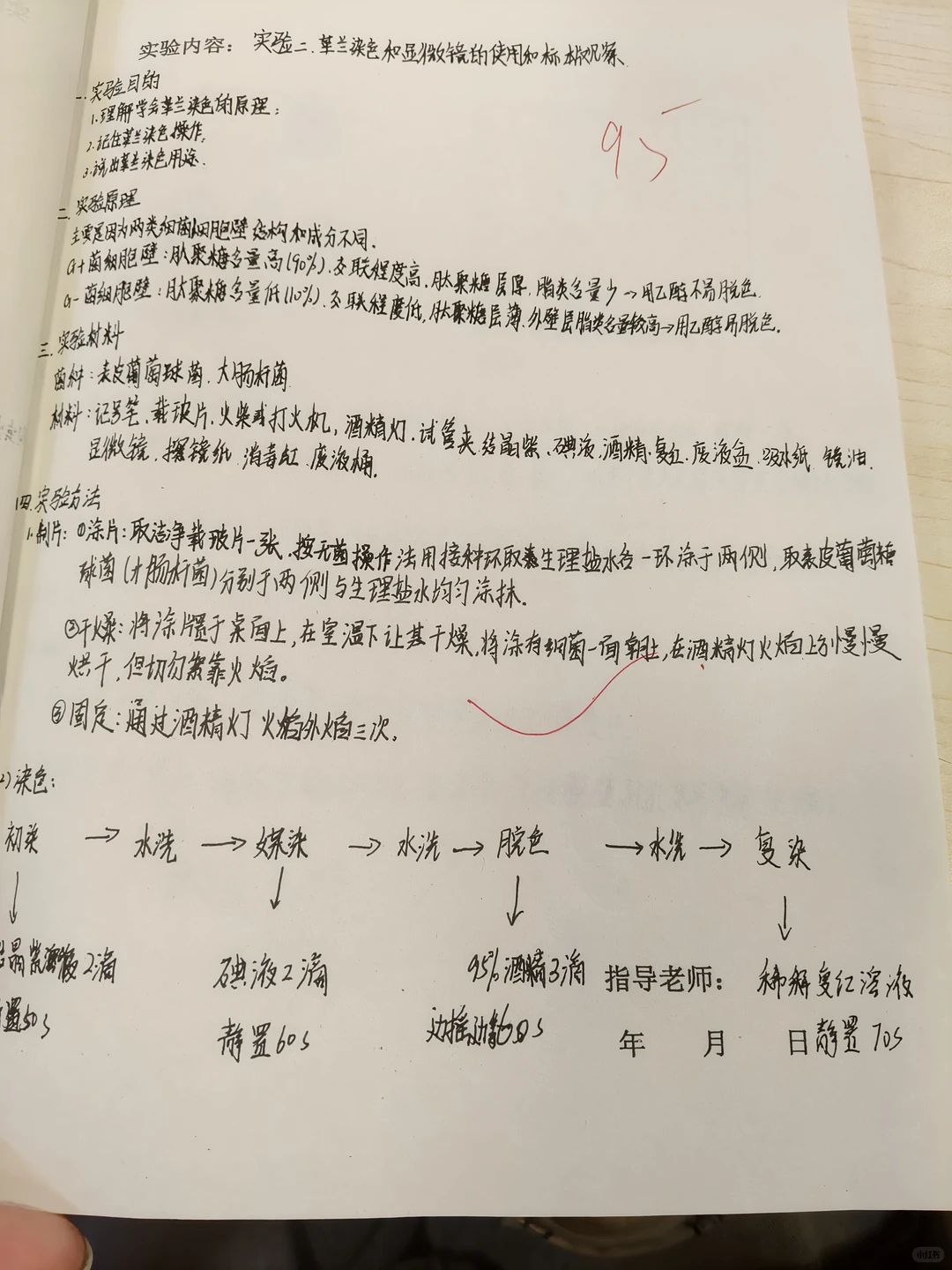 革兰染色与标本观察实验报告