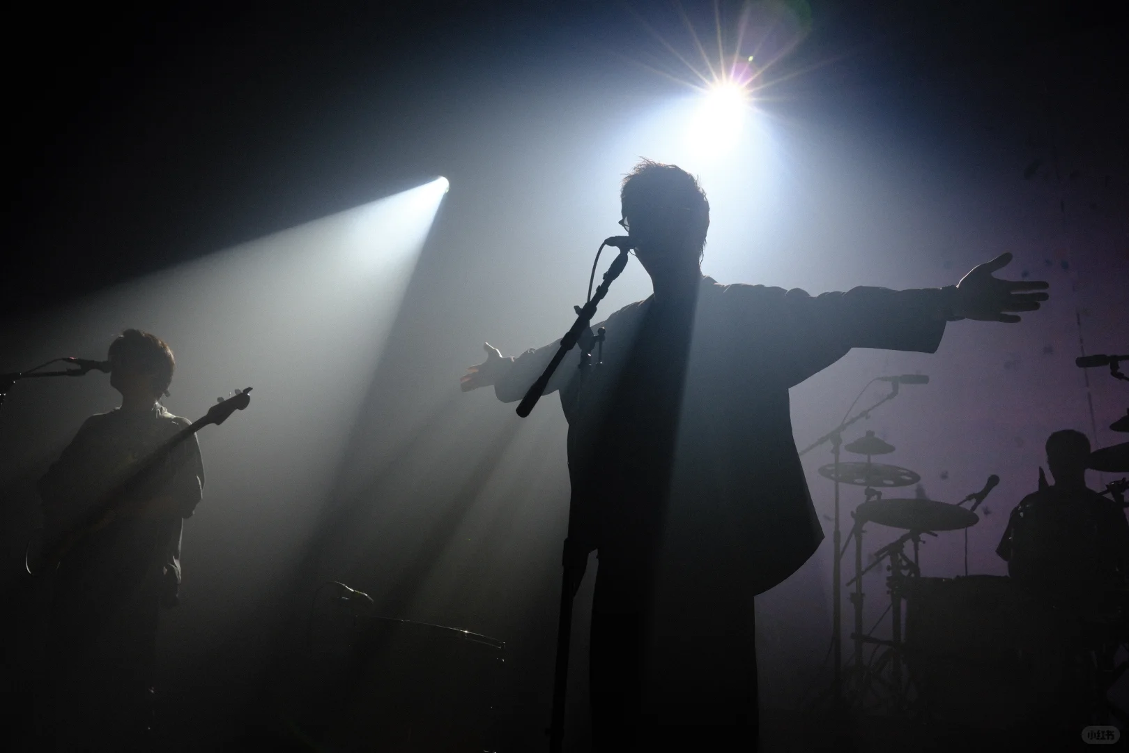 白皮书 上海live