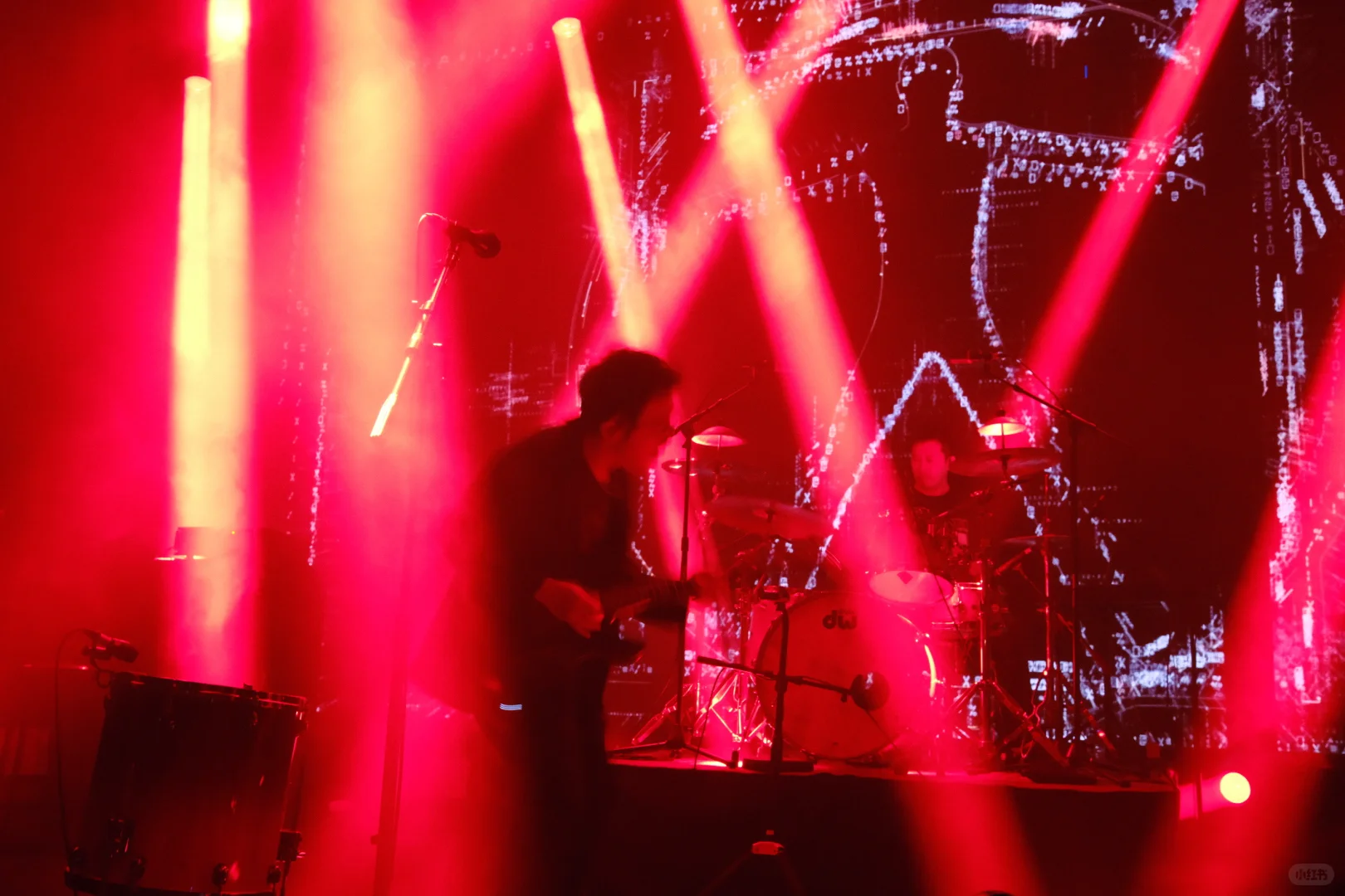 白皮书 上海live