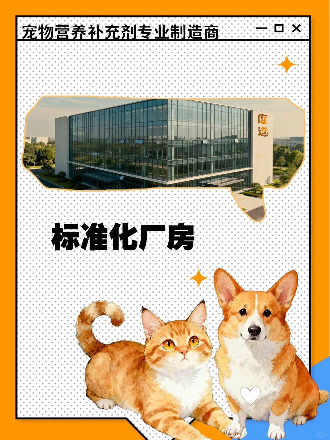 宠物保健品代工天花板！安全到放心给毛孩吃