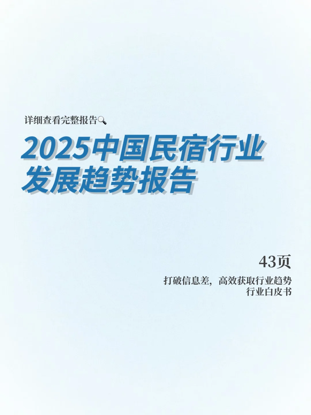 2025民宿行业发展趋势报告