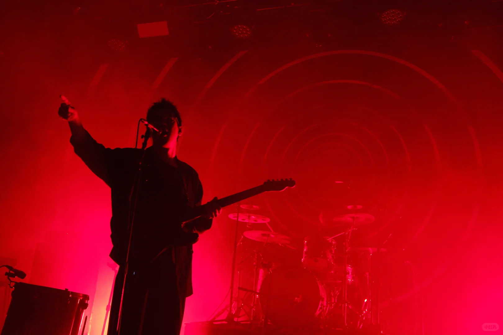 白皮书 上海live