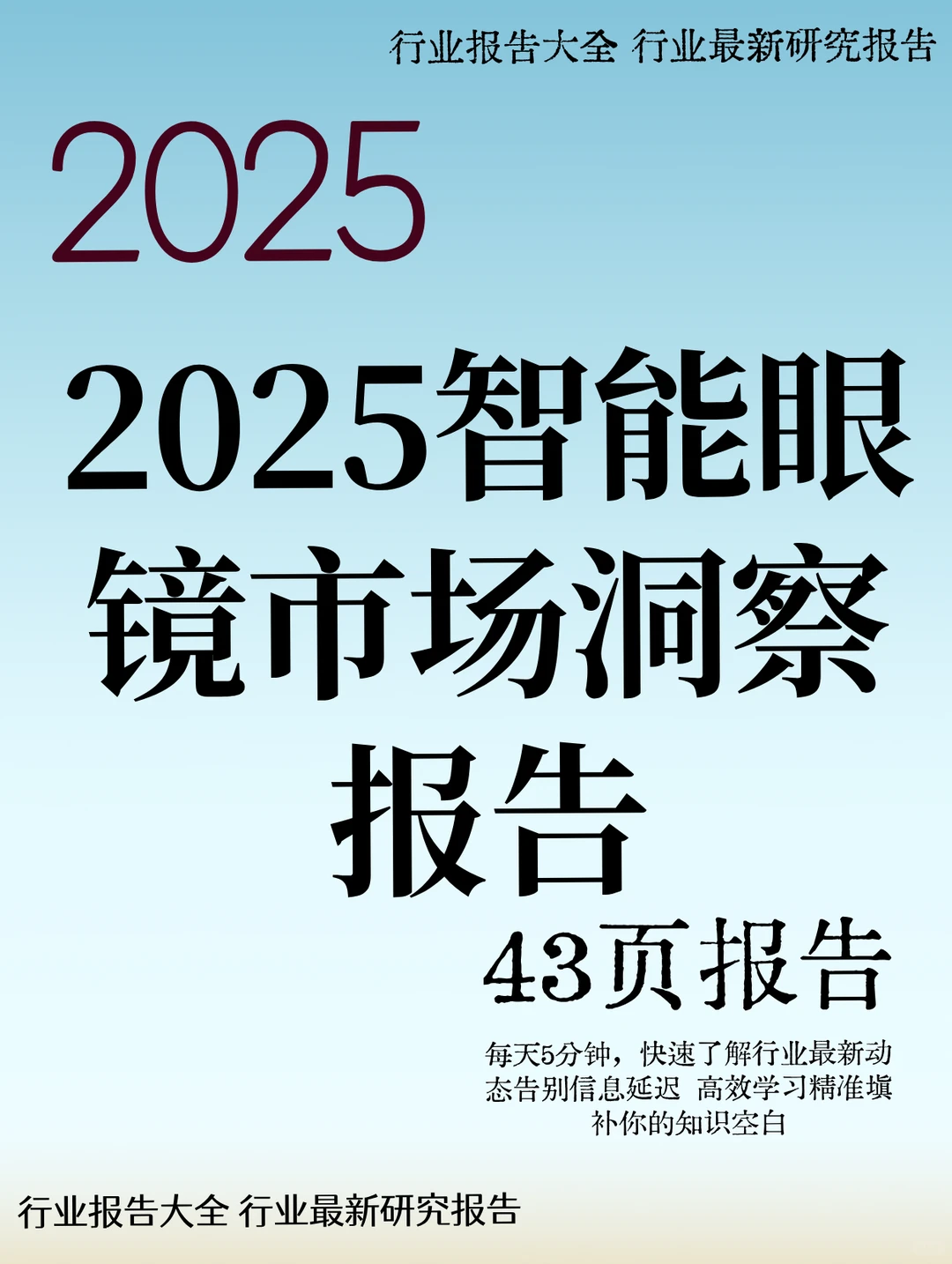 2025智能眼镜市场洞察报告
