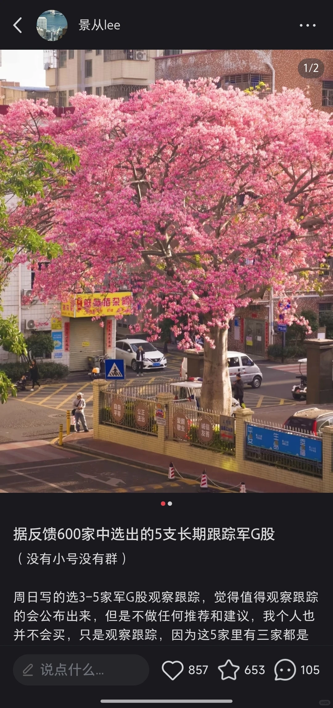 高H报的好股票怎么找到?