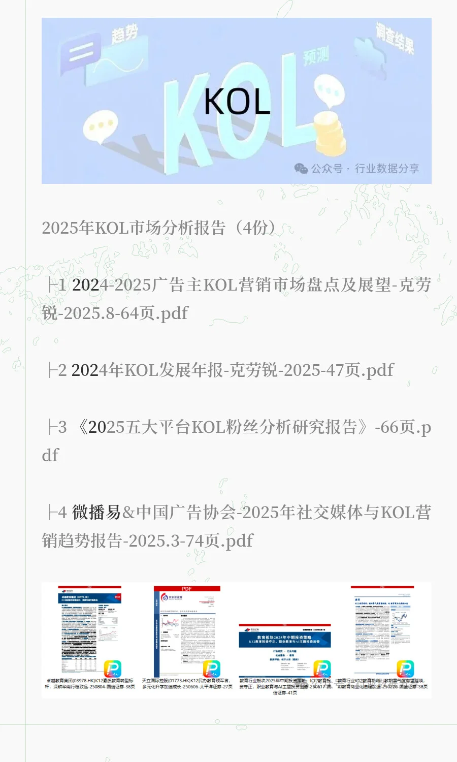 2025年KOL市场分析报告（4份）