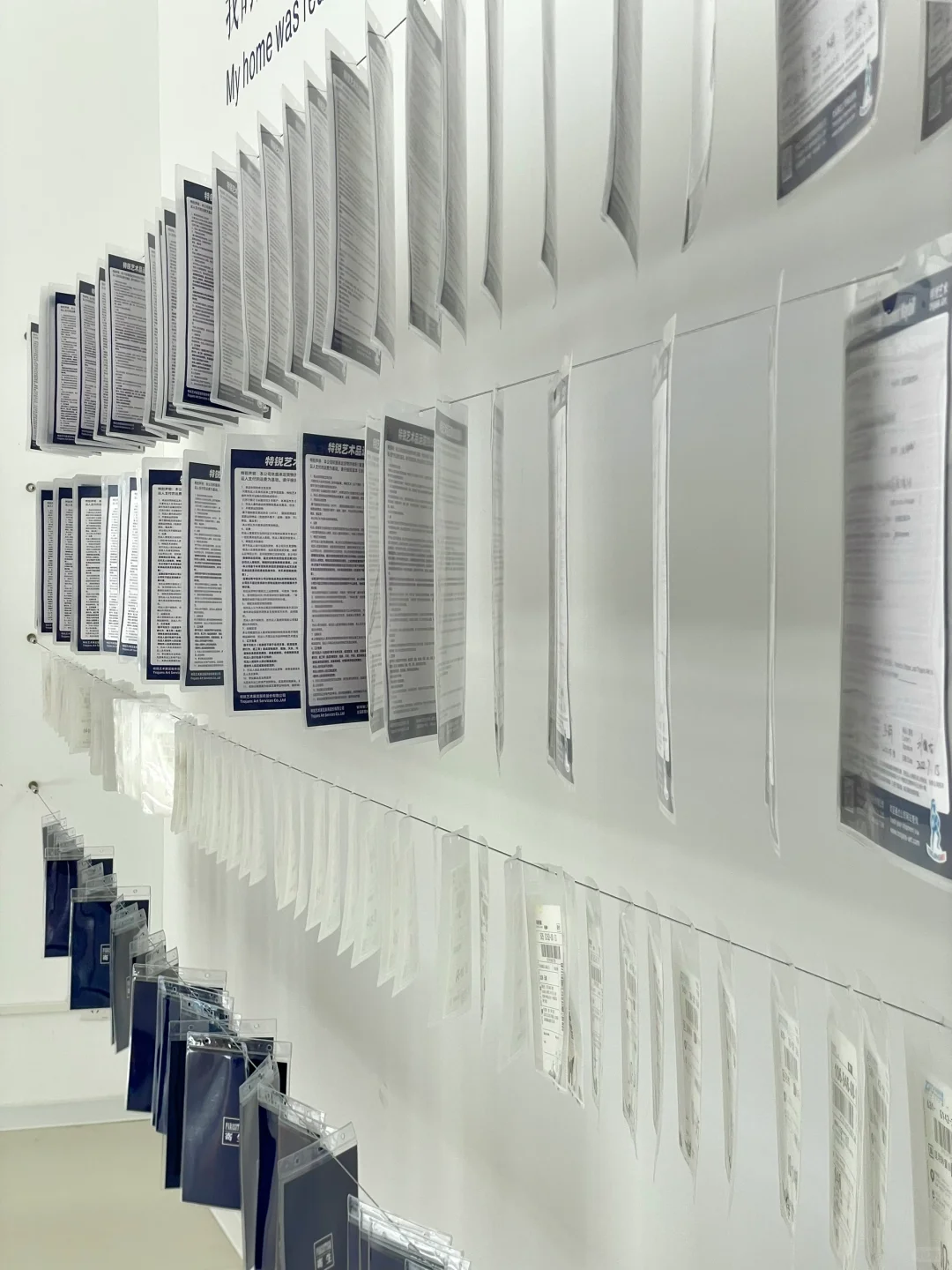 艺术家看展｜一日燕郊行，终生燕郊情