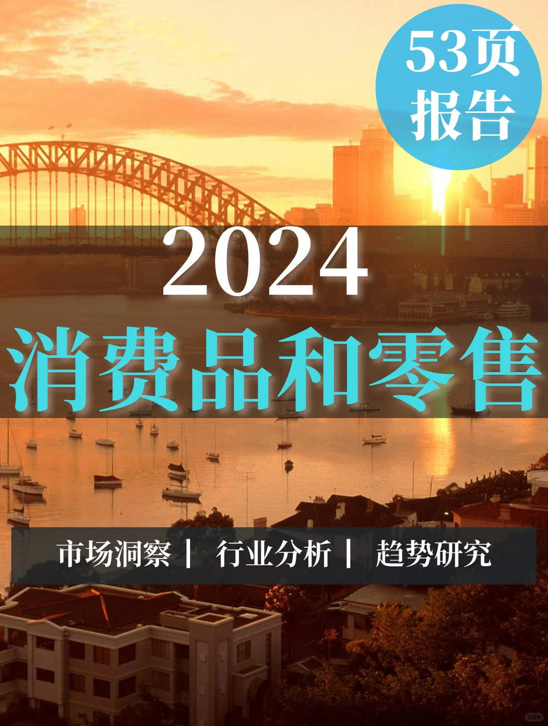 53页报告|2024消费品和零售行业分析