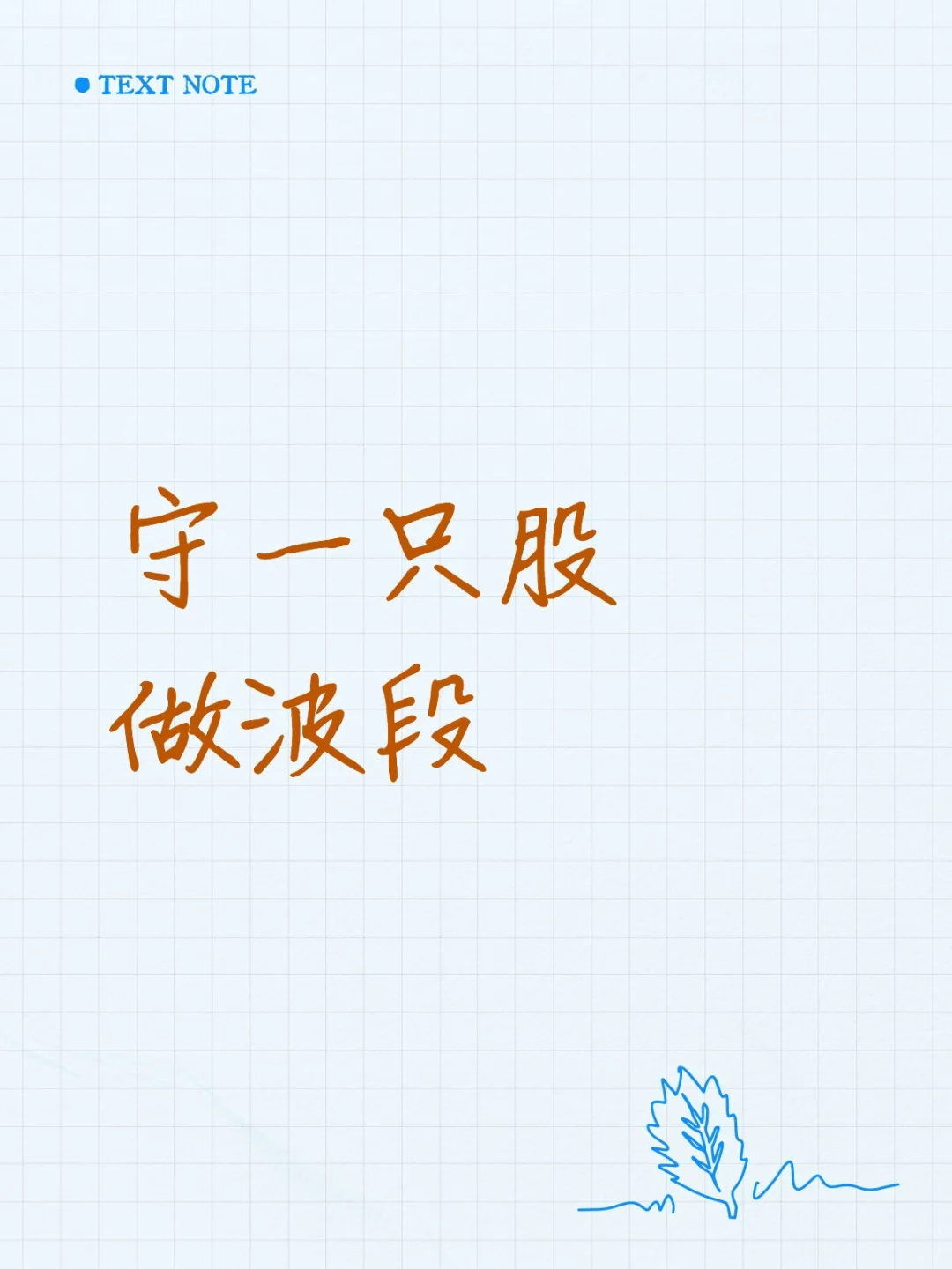 守一只股做波段