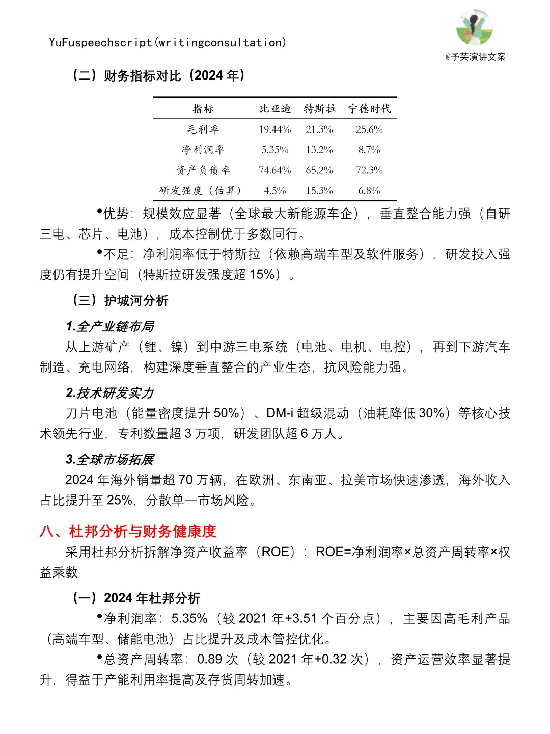 比亚迪财务分析报告，这样写真的太棒啦?