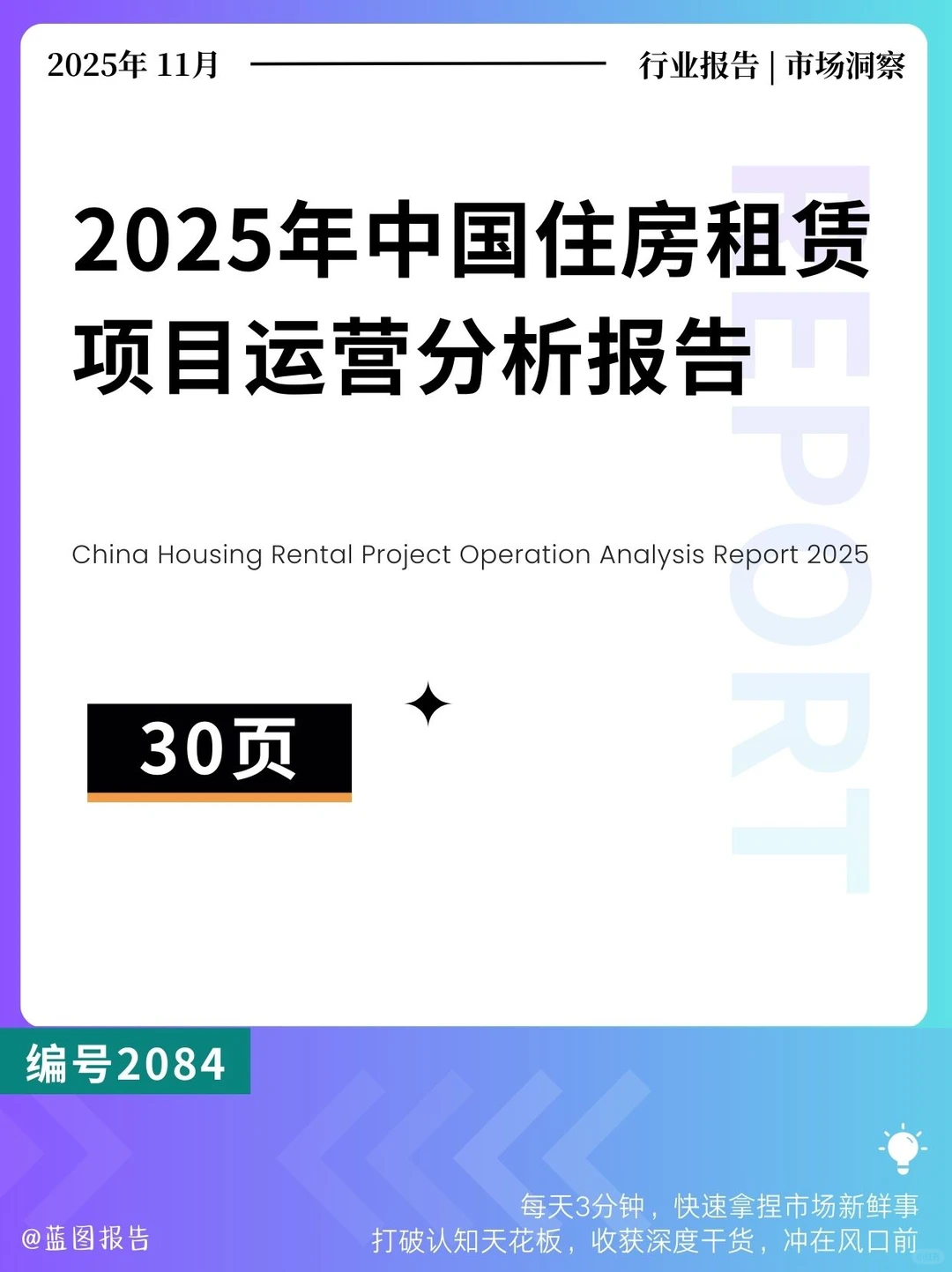 2025中国住房租赁项目运营分析报告