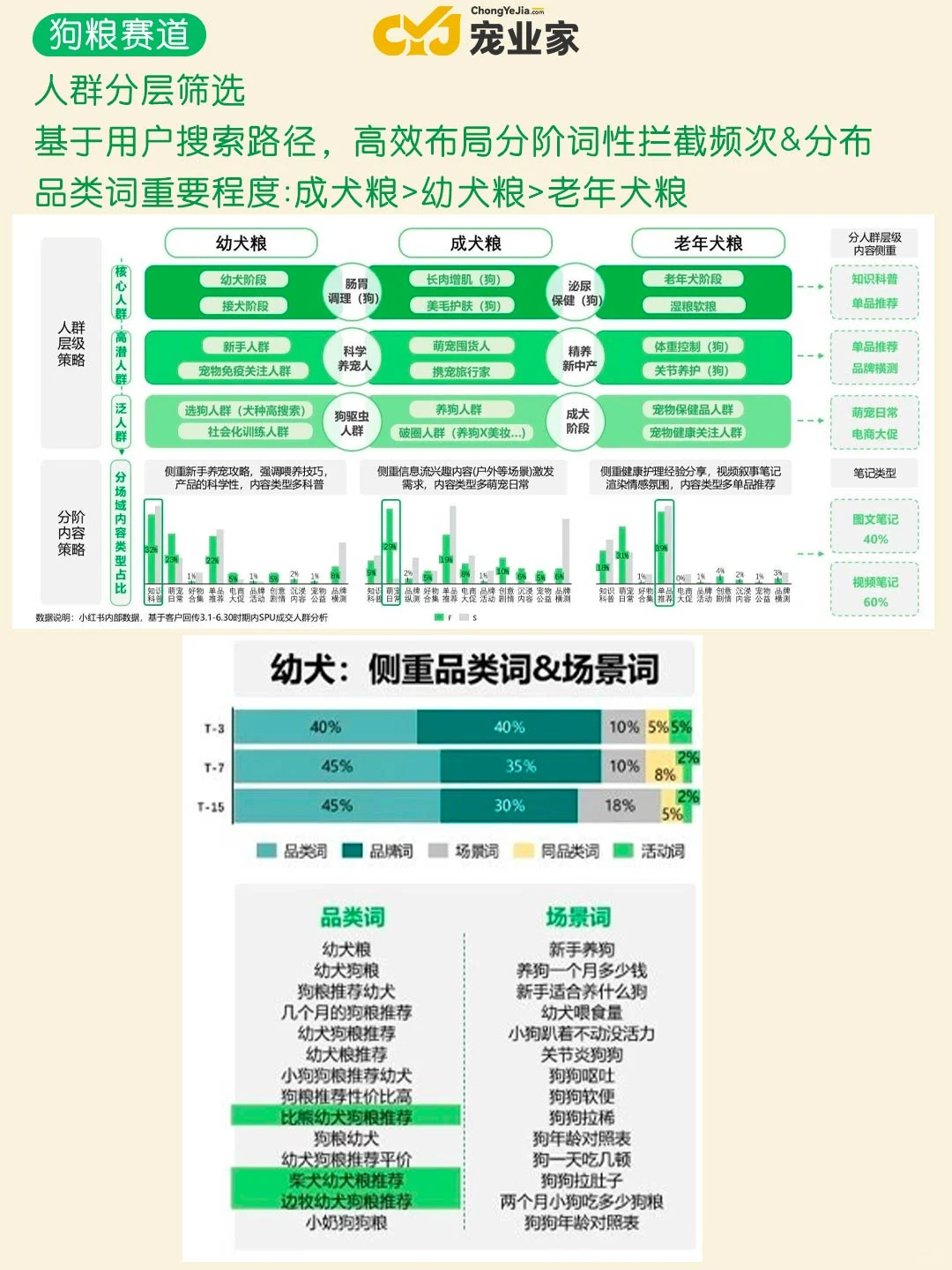 行业报告｜小红书宠物细分赛道有哪些策略？