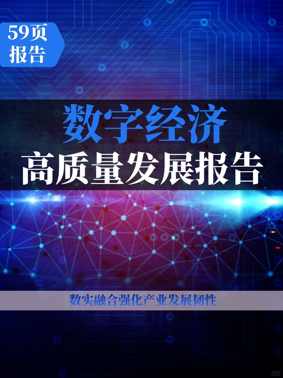 2023数字经济高质量发展报告