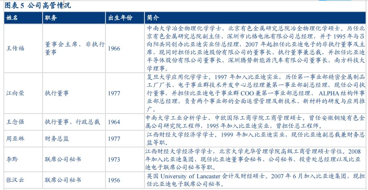 2024比亚迪汽车分析报告（10份）