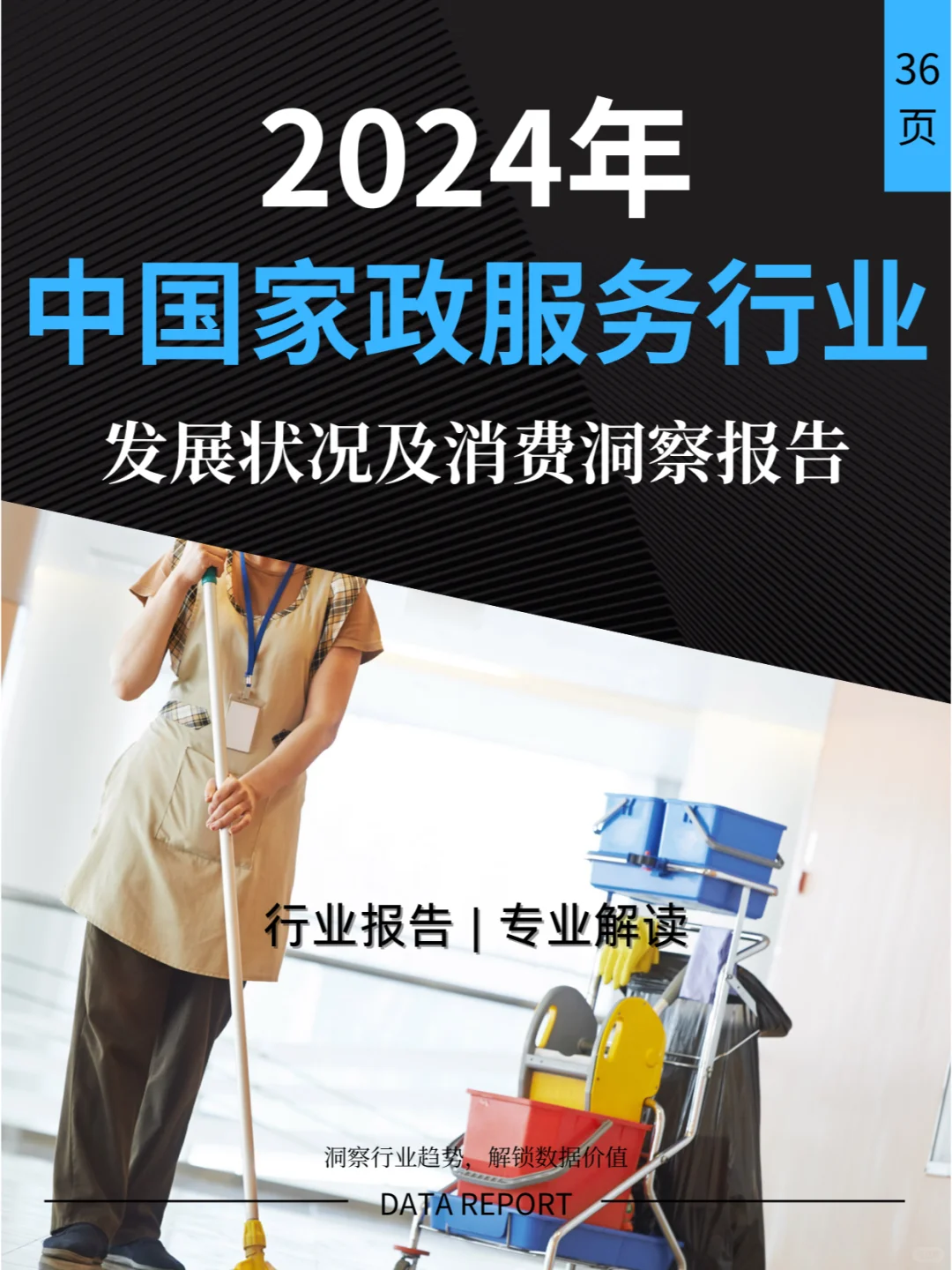 2024年中国家政服务行业深度解析