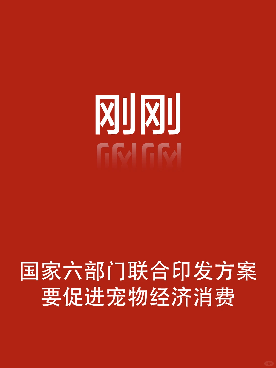 刚刚，国家出台宠物经济消费新政策