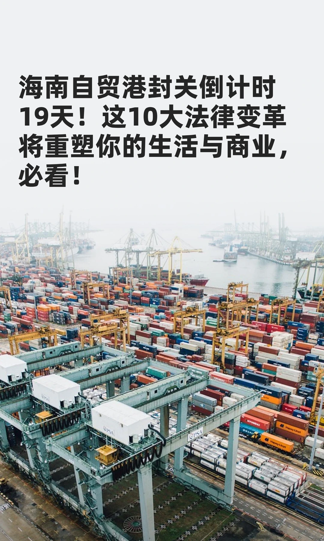 还在观望海南自贸港的岛内外的企业必看！