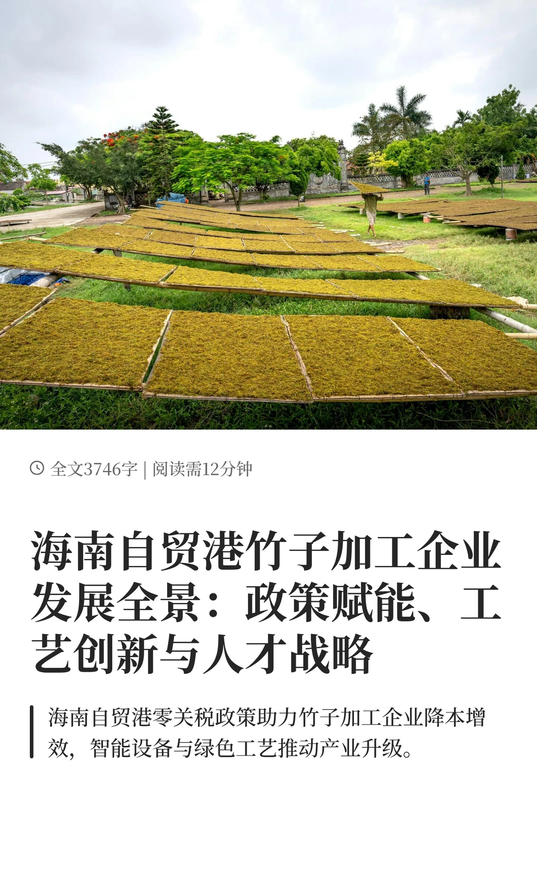 海南自贸港竹子加工企业发展全景：政策赋能