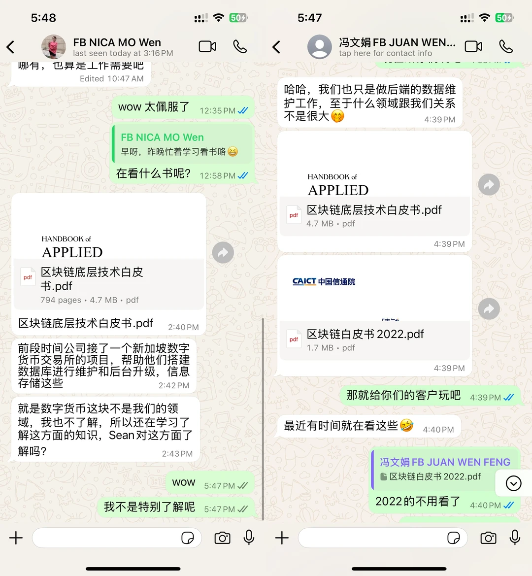 杀猪盘剧本-白皮书