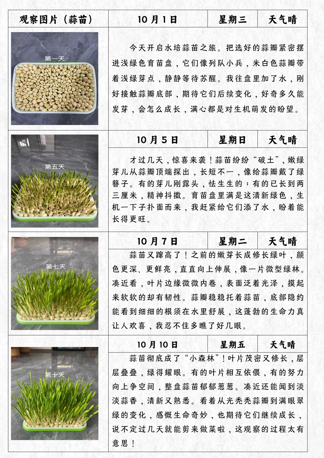 四上语文习作写观察日记范文植物观察记录表
