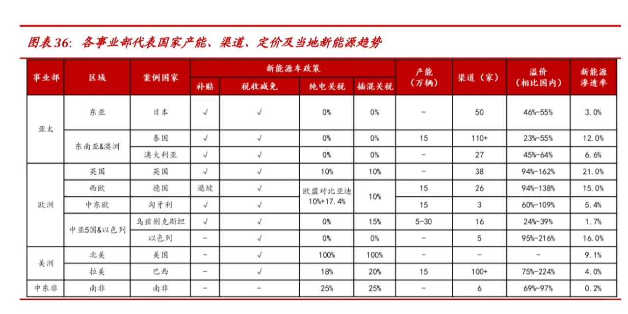 2024比亚迪汽车分析报告（10份）