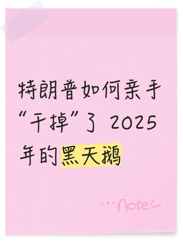 特朗普如何亲手“干掉”了 2025 年的黑天鹅