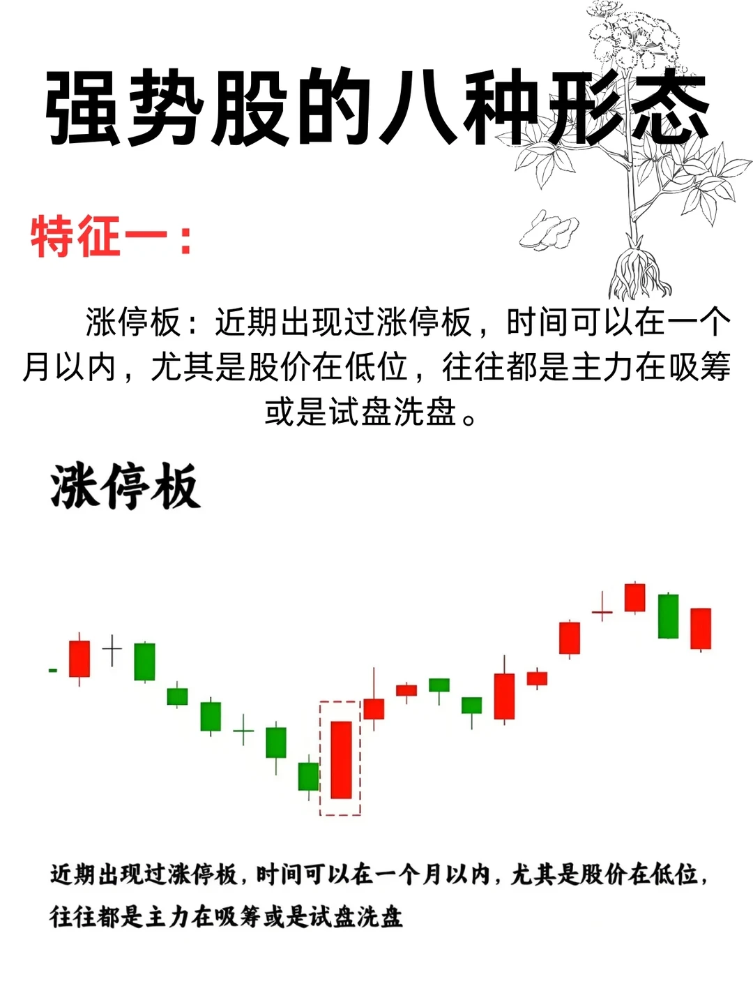 强势股的八种形态