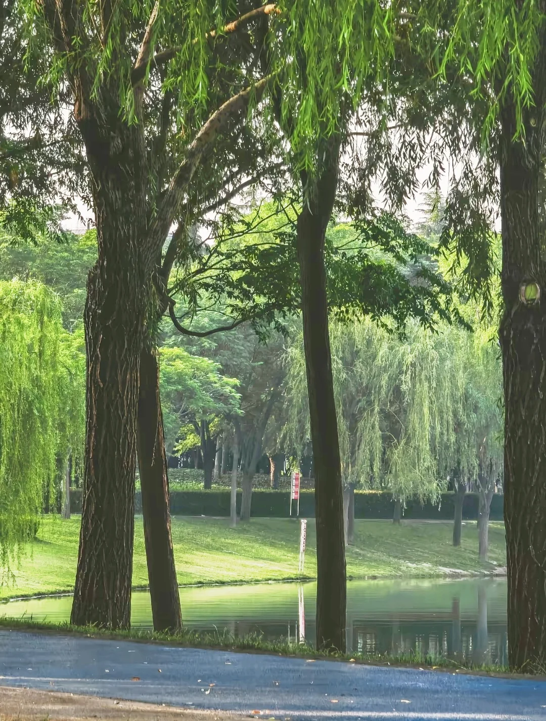 如何给一支股票定价，判断股票值多少钱？