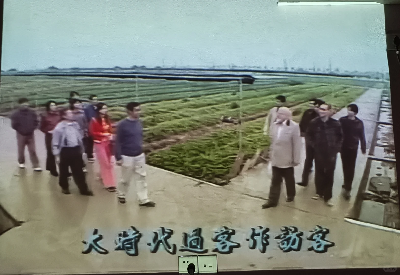 新手炒股——滚动仓波段交易细节