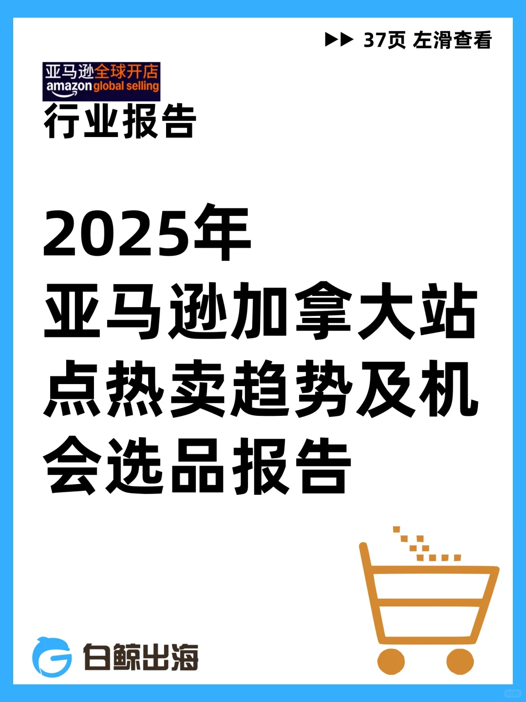 2025亚马逊加拿大站点热卖趋势及机会选品