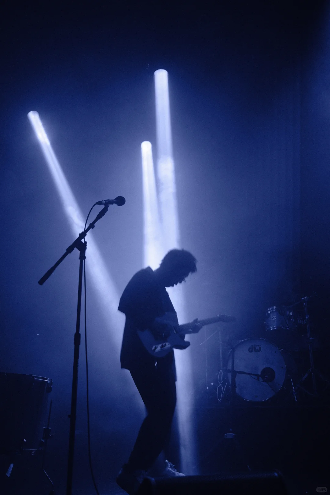 白皮书 上海live