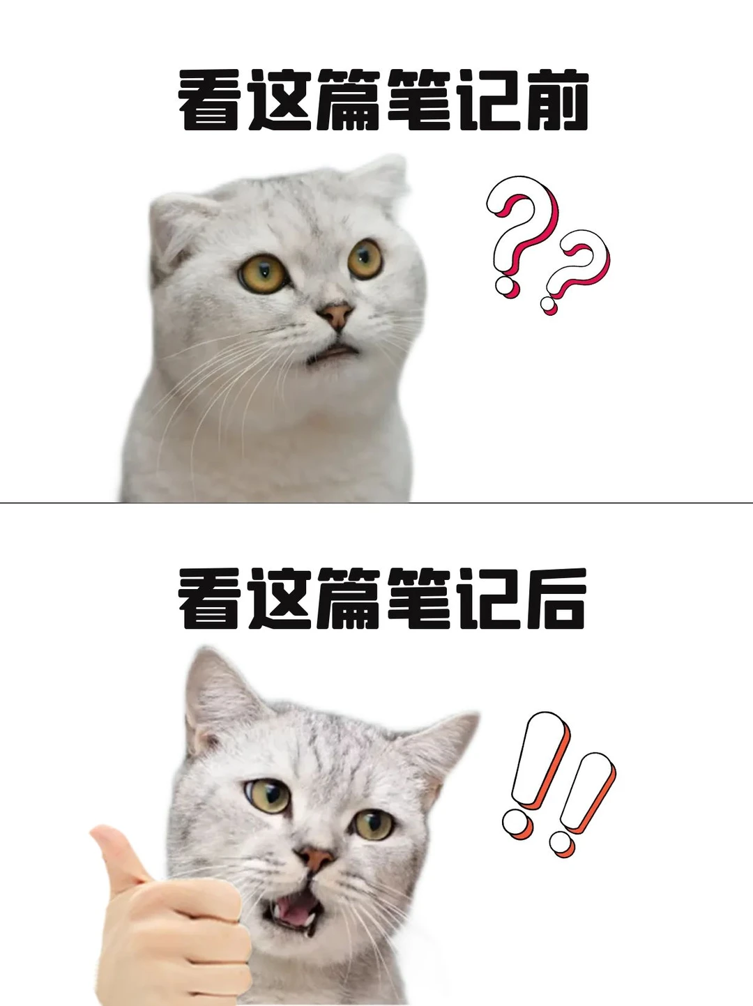 掘金湖湘市场！2026长沙年货节招商优惠持续