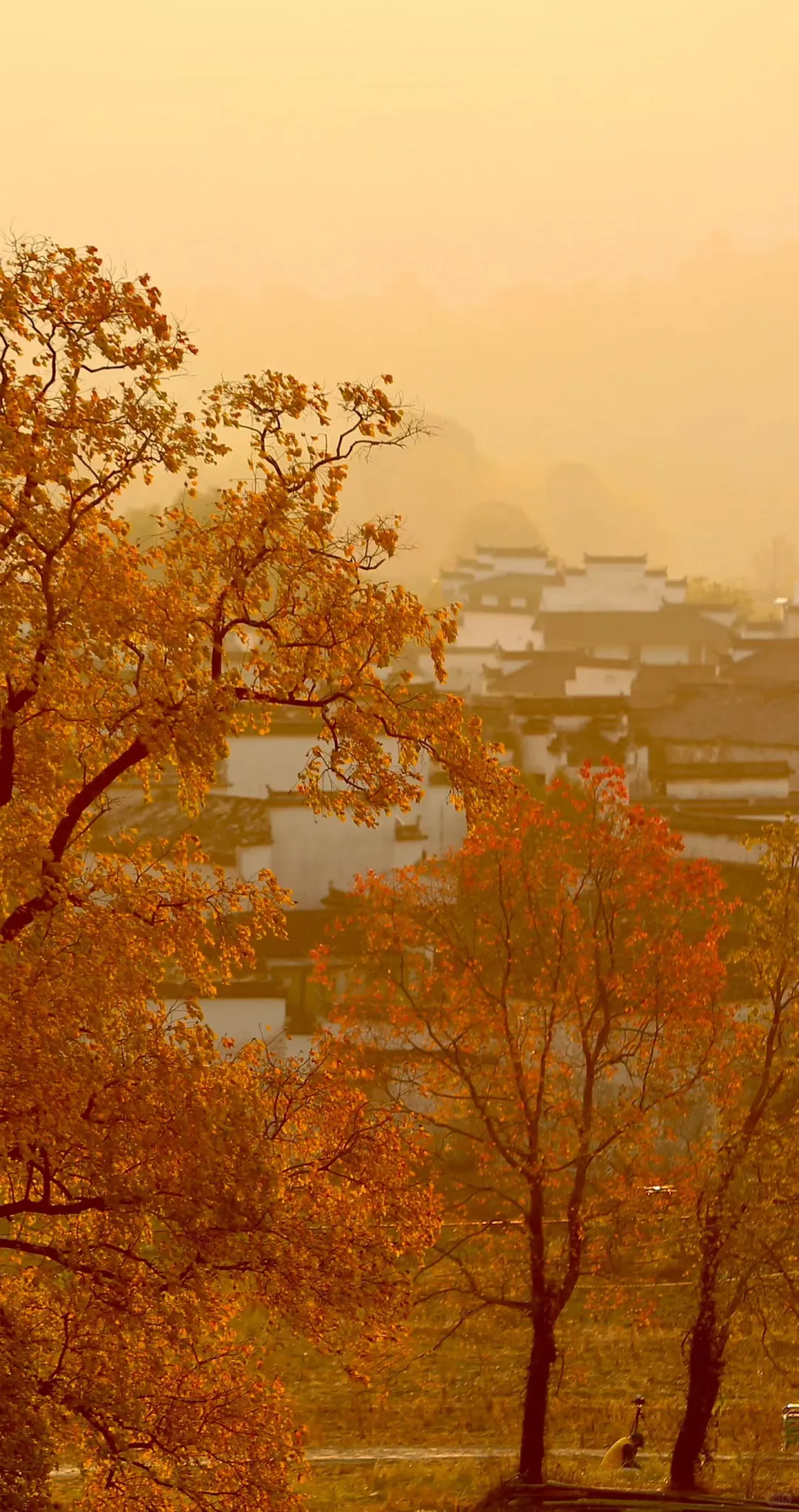 警惕低估值陷阱