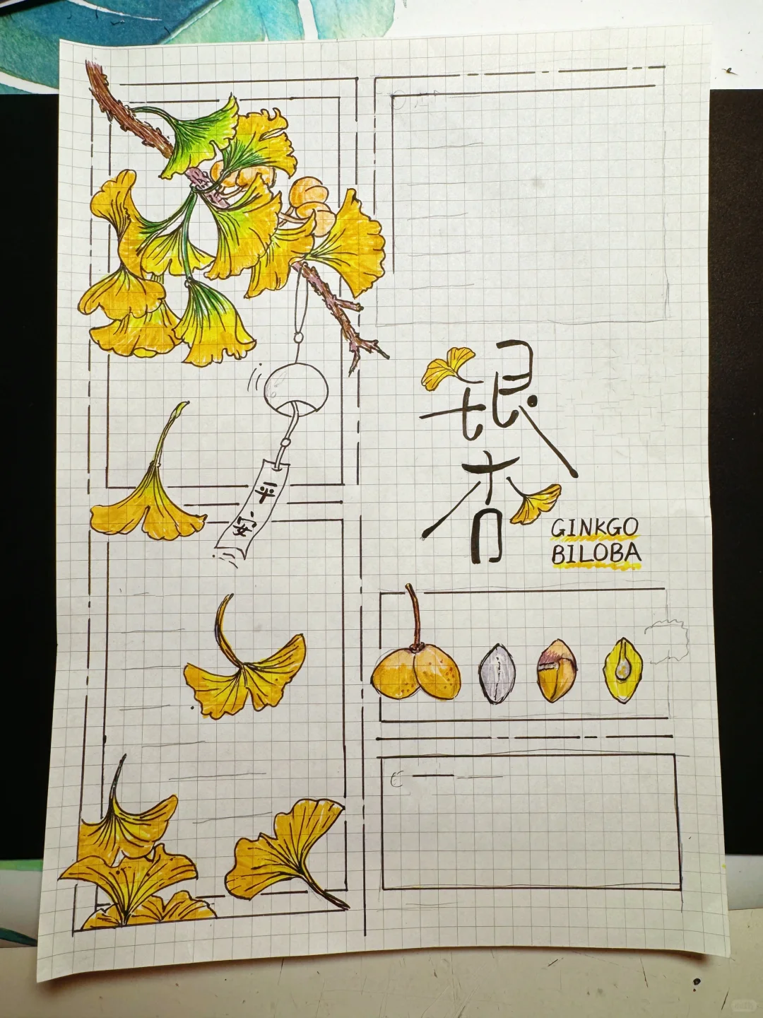 自然笔记观察手帐银杏小报秋日植物分镜画