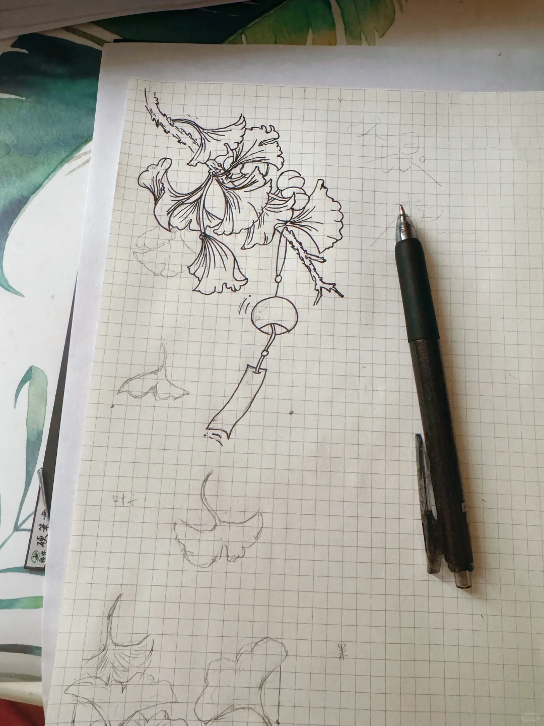 自然笔记观察手帐银杏小报秋日植物分镜画