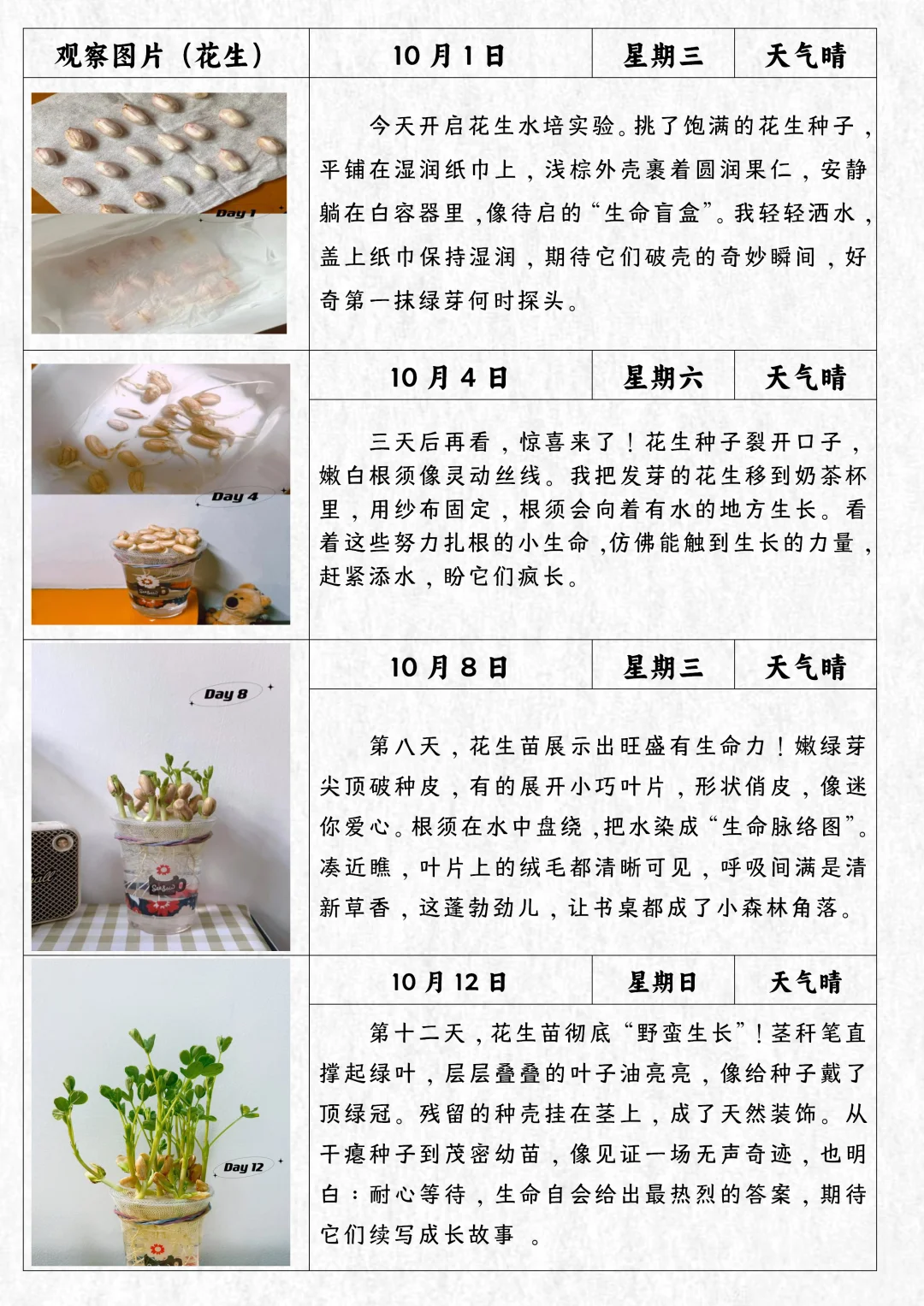 四上语文习作写观察日记范文植物观察记录表