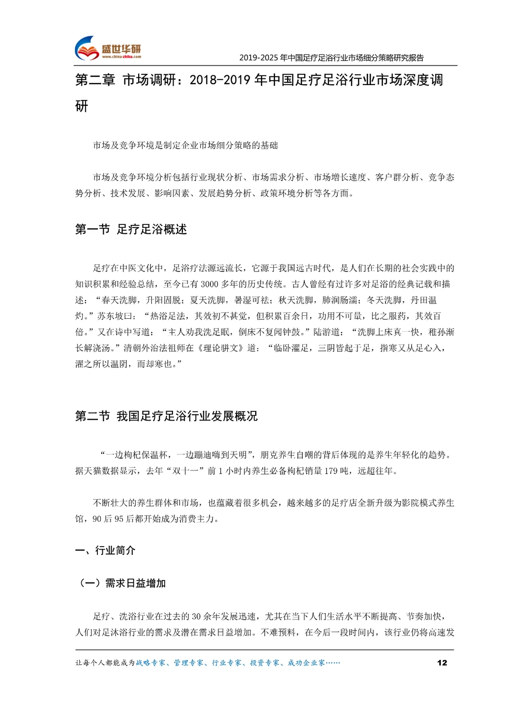 中国足疗足浴行业市场细分策略研究报告核心
