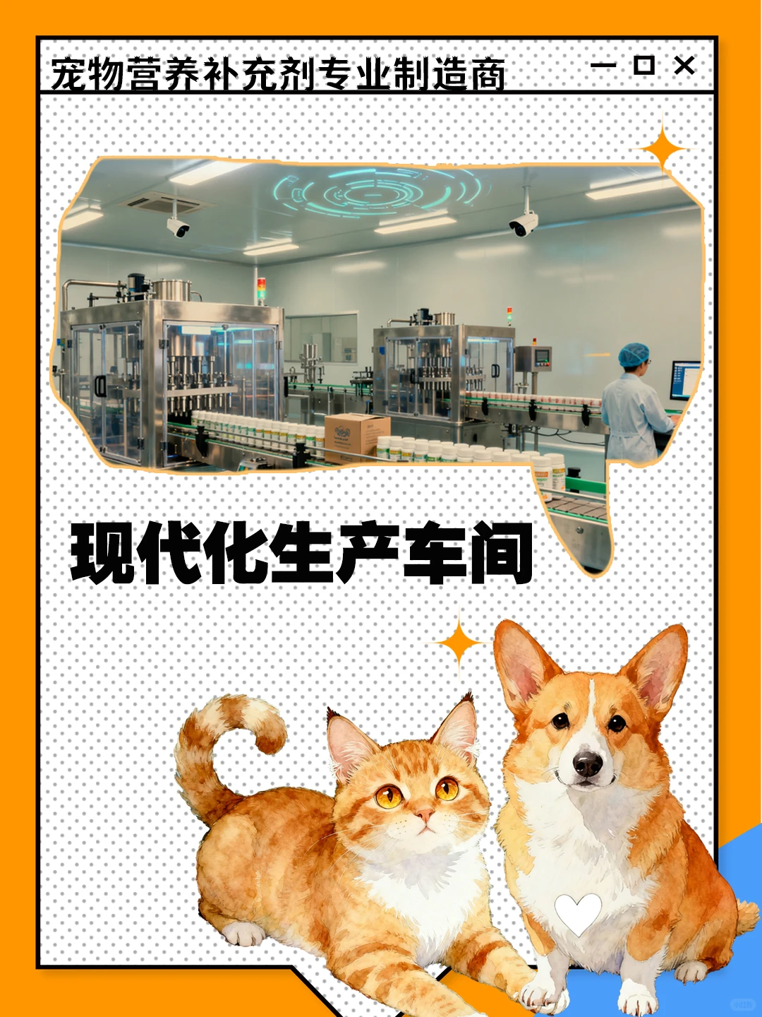宠物保健品代工天花板！安全到放心给毛孩吃