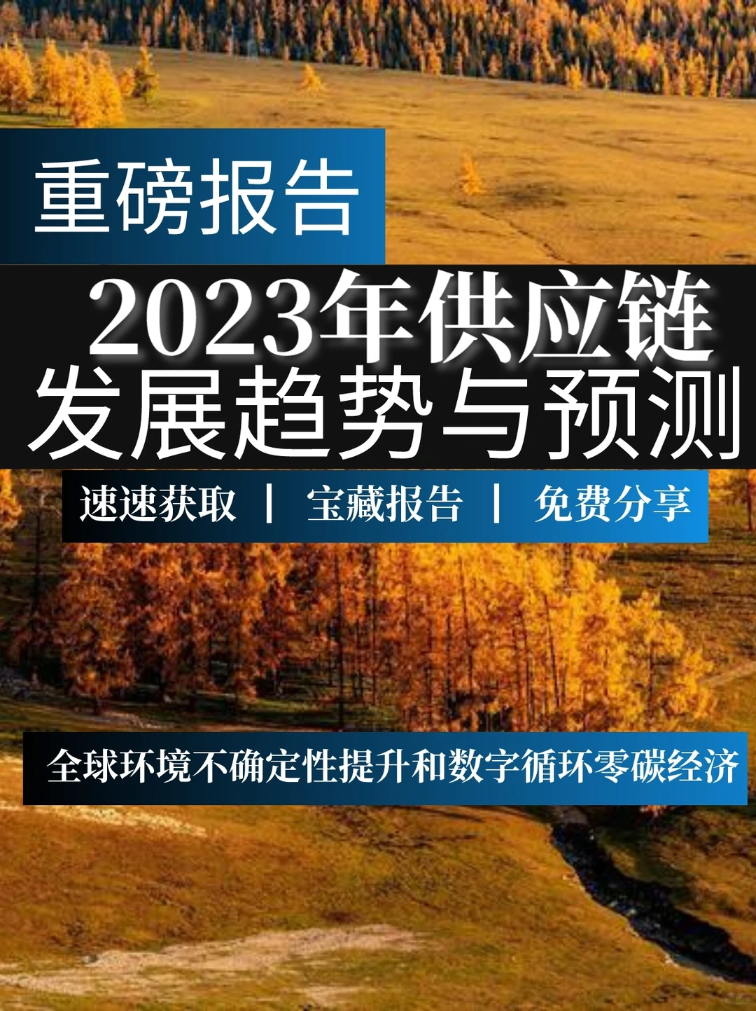 重磅报告：2023年供应链的发展趋势与预测