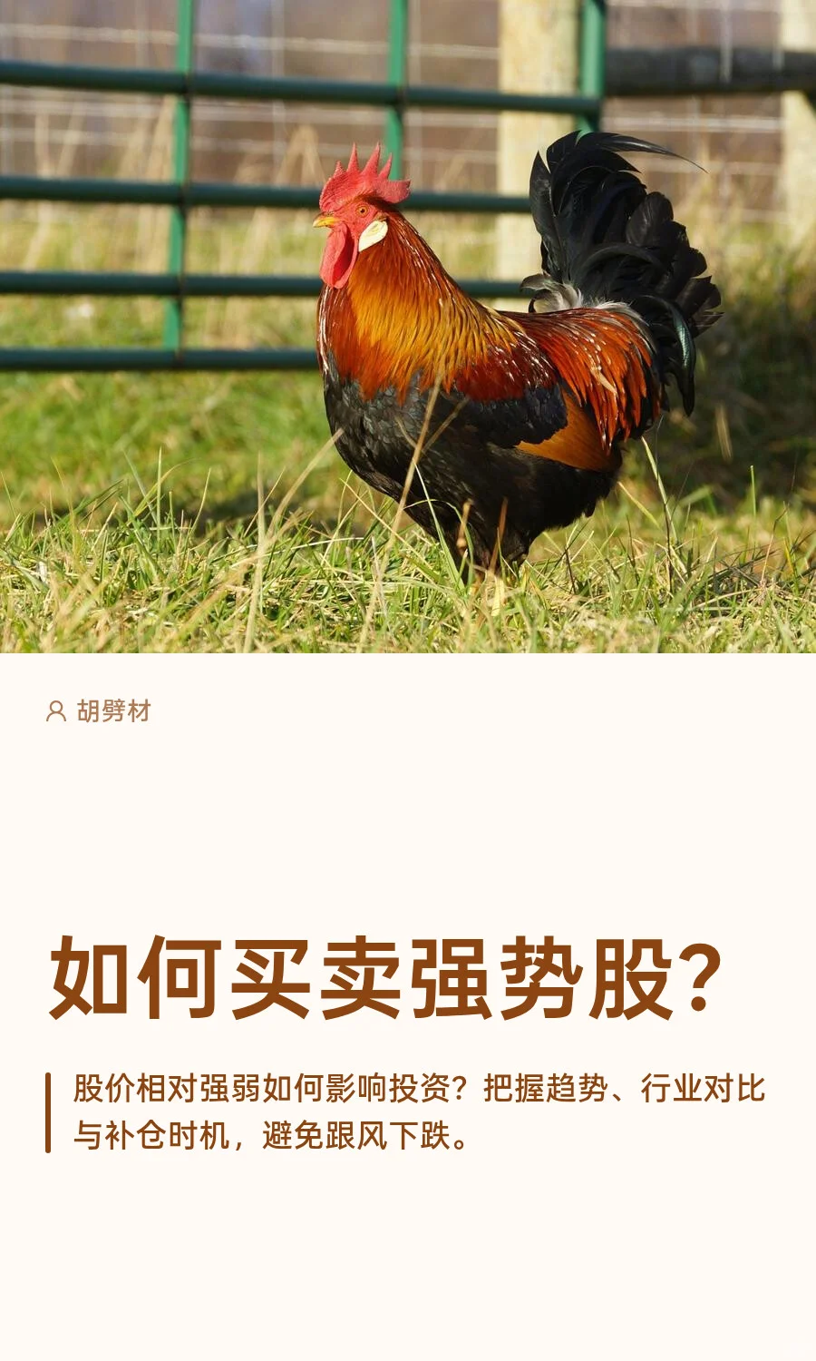 如何买卖强势股？