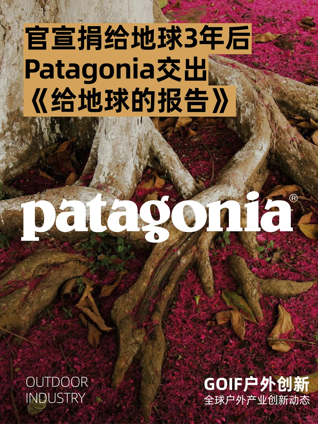 捐给地球3年Patagonia交出《给地球的报告》