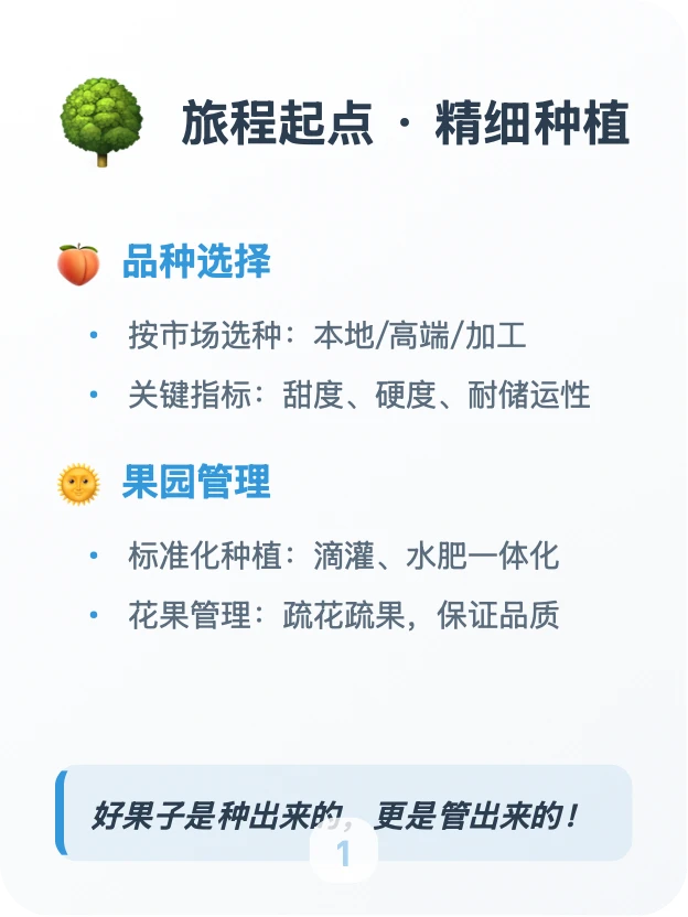 每天吃透一条供应链「核果类」?