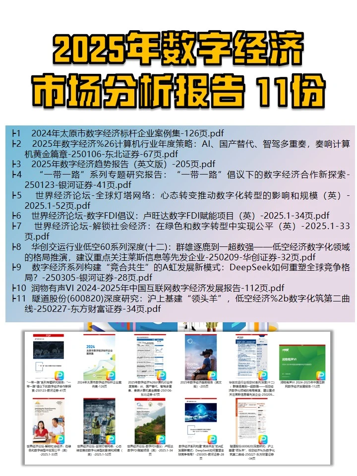 2025年数字经济市场分析报告（11份）