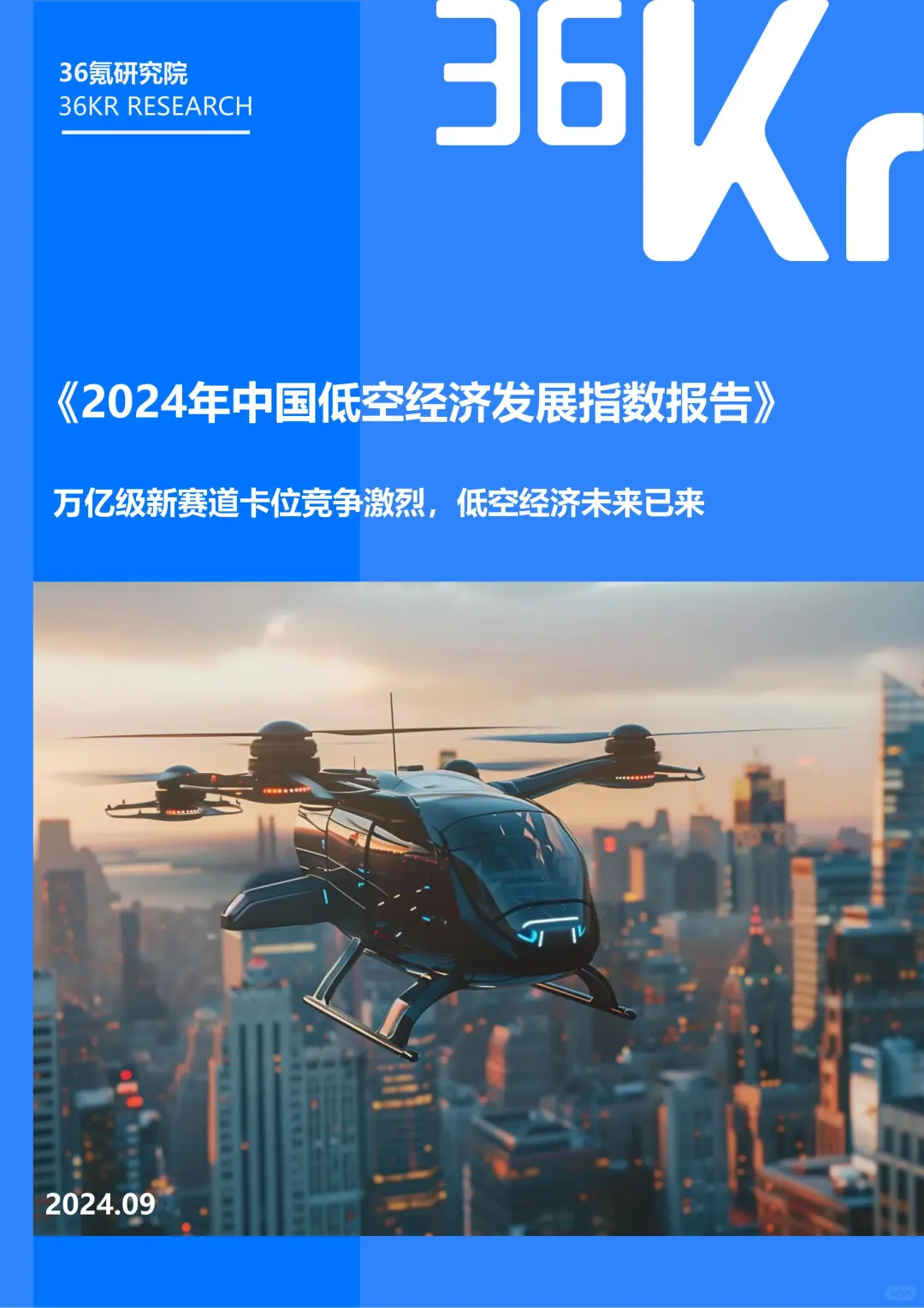 2024 中国城市低空经济发展指数报告