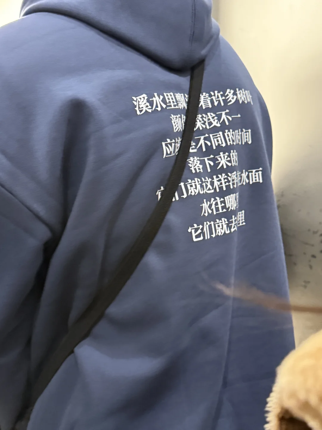 ▫️白皮书乐队巡演2025｜杭州