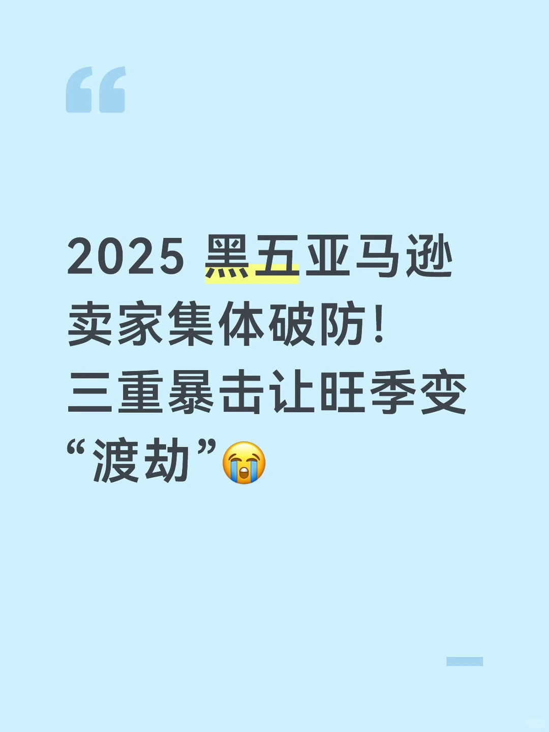 2025 黑五亚马逊卖家集体破防！