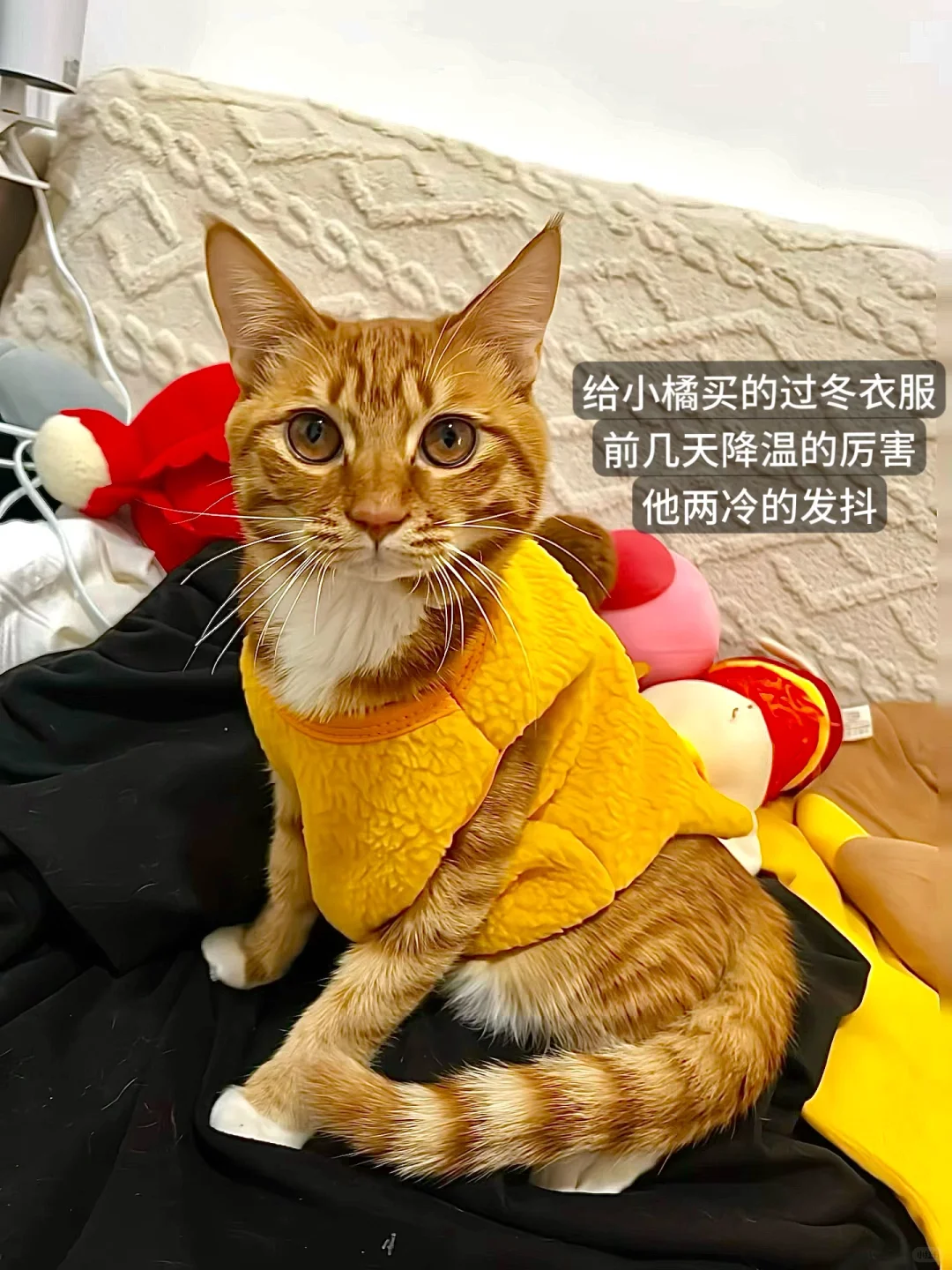 新人博主day1：先迈出第1步，粗糙的开始