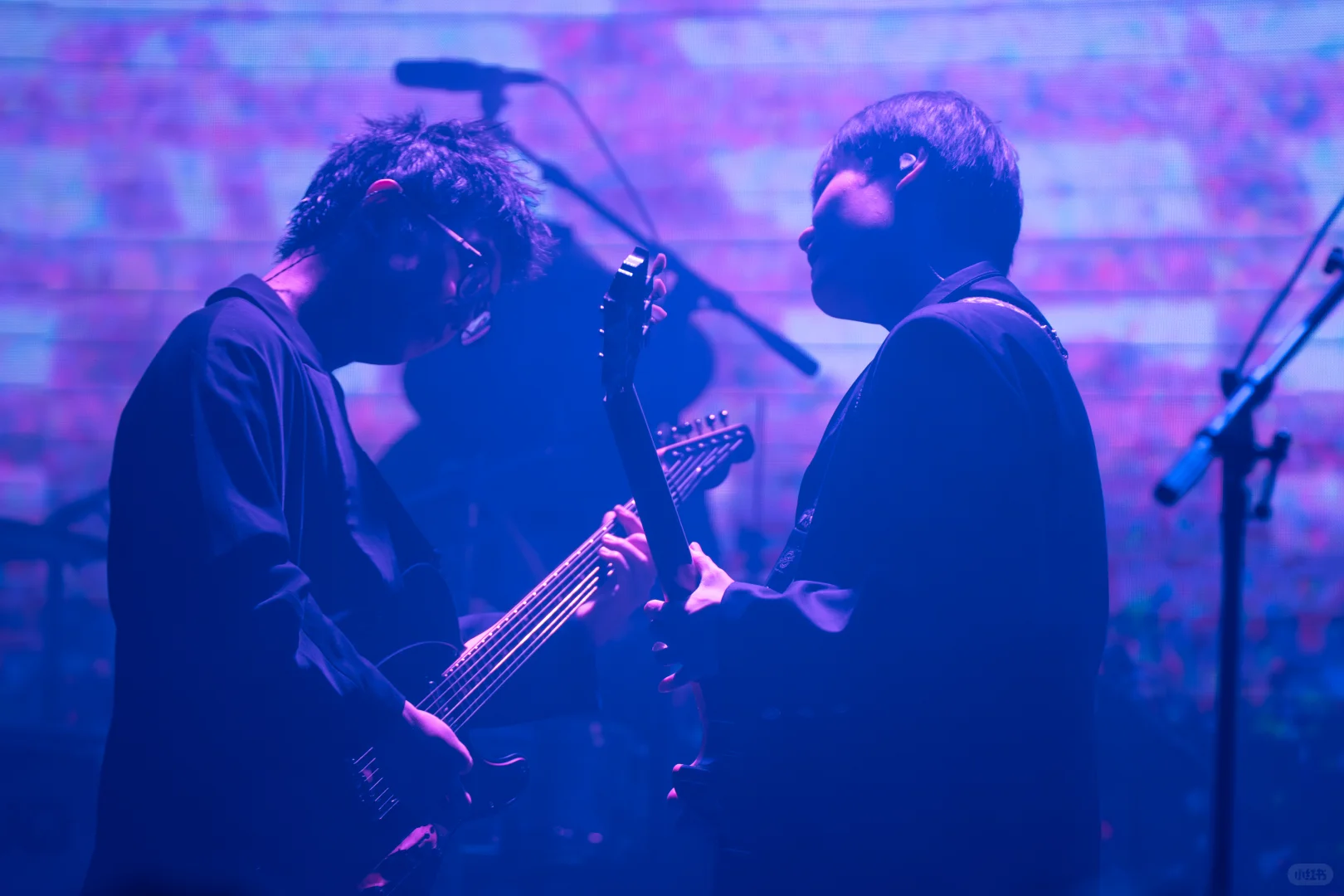 白皮书乐队上海站演出